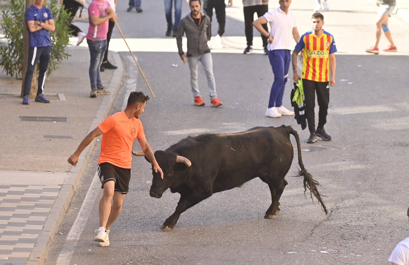 Encierro del Toro del Sarmiento en La Seca