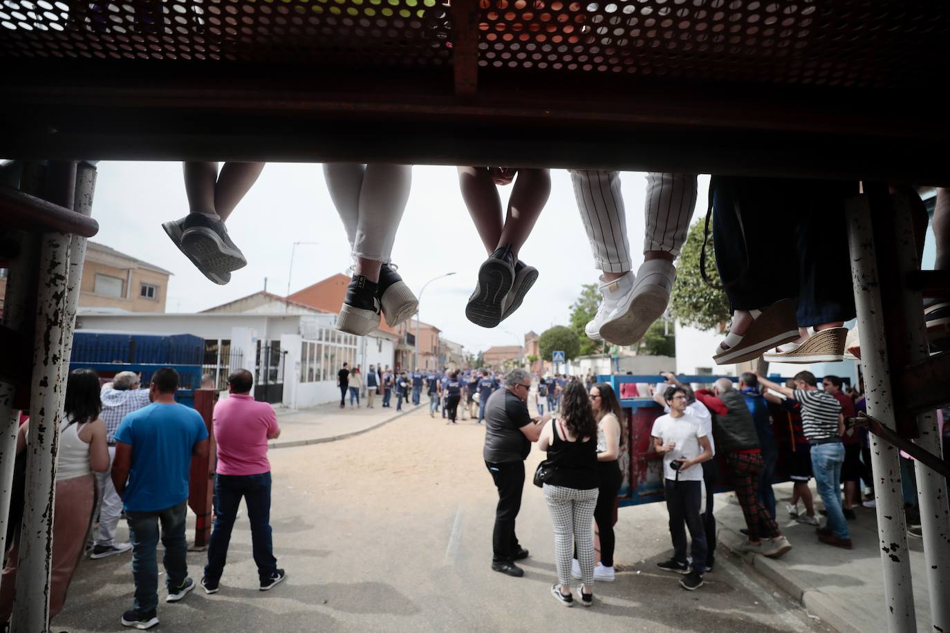 Encierro en la Seca con motivo de la Fiesta del Verdejo