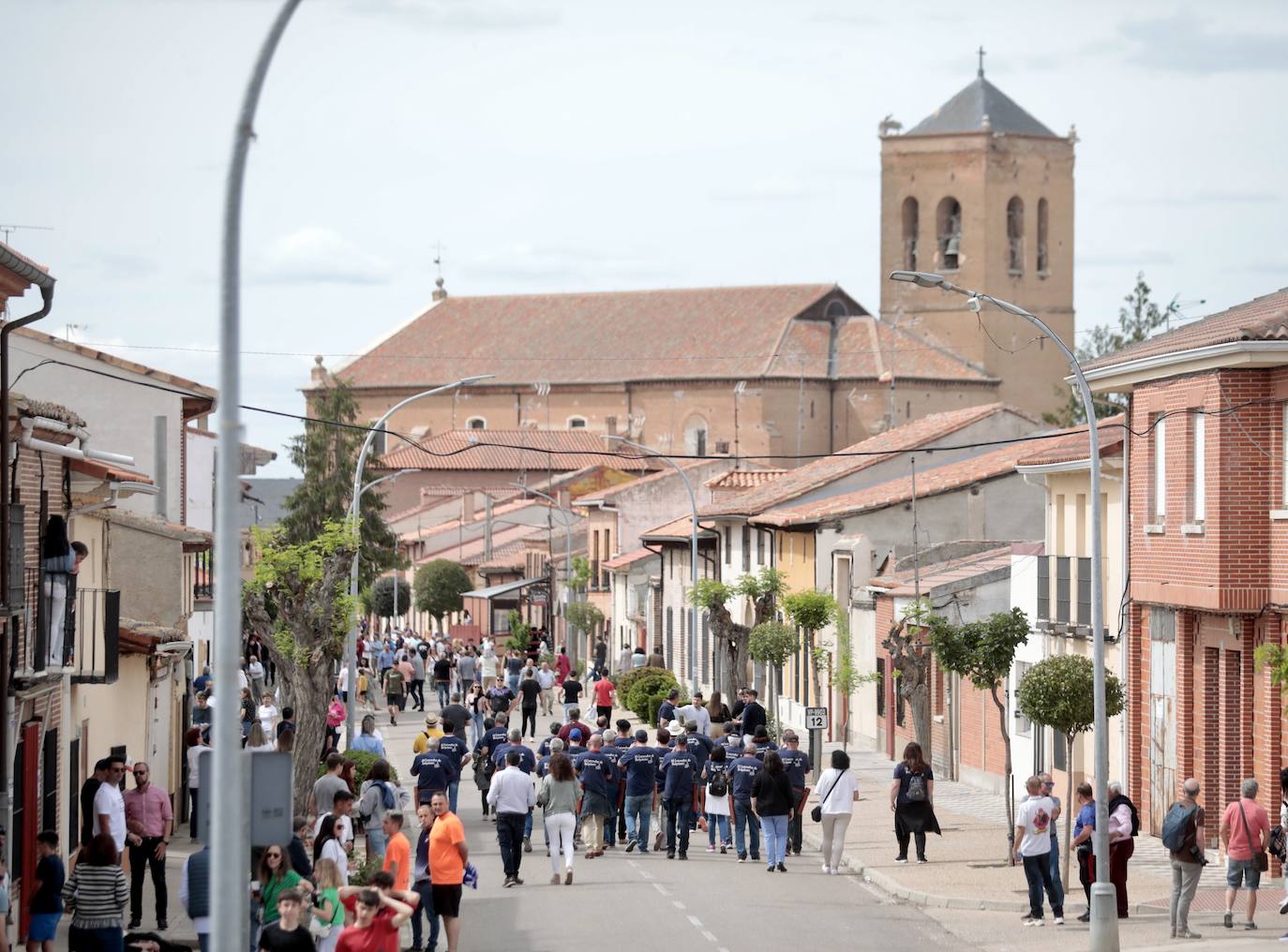 Encierro en la Seca con motivo de la Fiesta del Verdejo