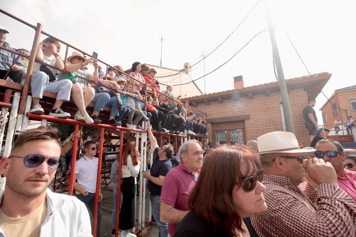 Encierro en la Seca con motivo de la Fiesta del Verdejo