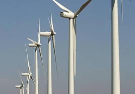 La locura de los molinos