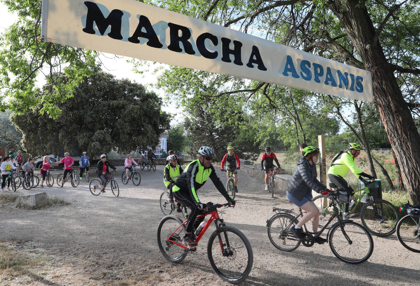 Más de mil palentinos se unen a la marcha de Aspanis