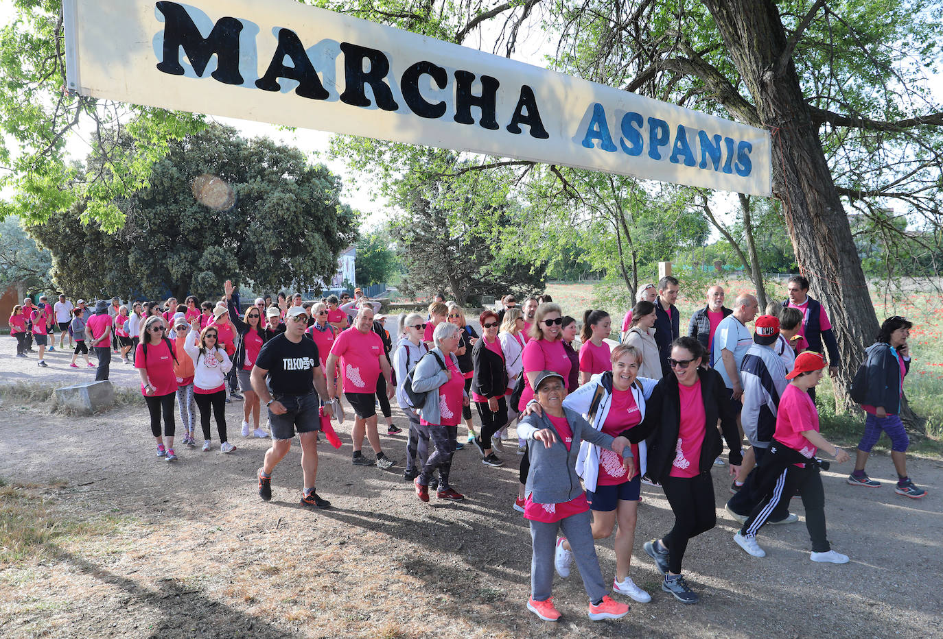 Más de mil palentinos se unen a la marcha de Aspanis