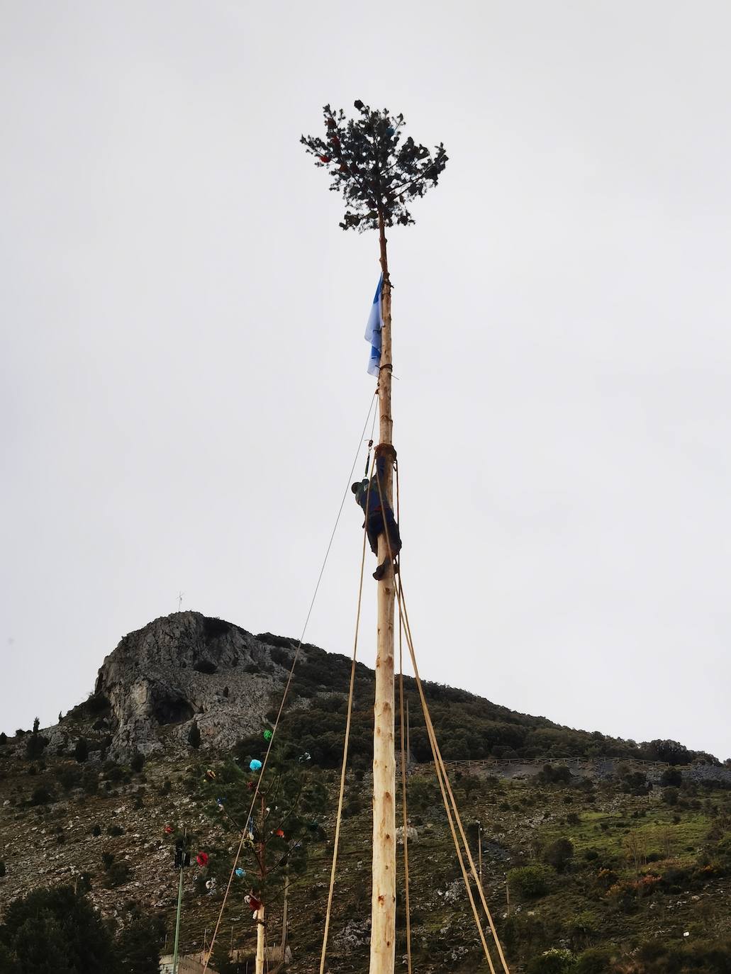 Velilla celebra la Pinada del Mayo