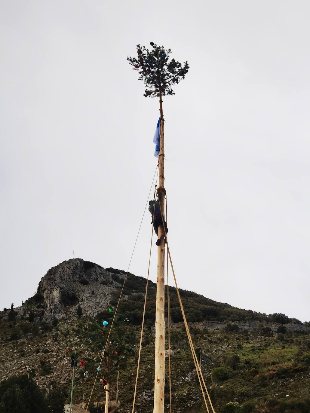 Velilla celebra la Pinada del Mayo