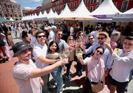 Un grupo de jóvenes brinda en la Plaza Mayor este sábado.