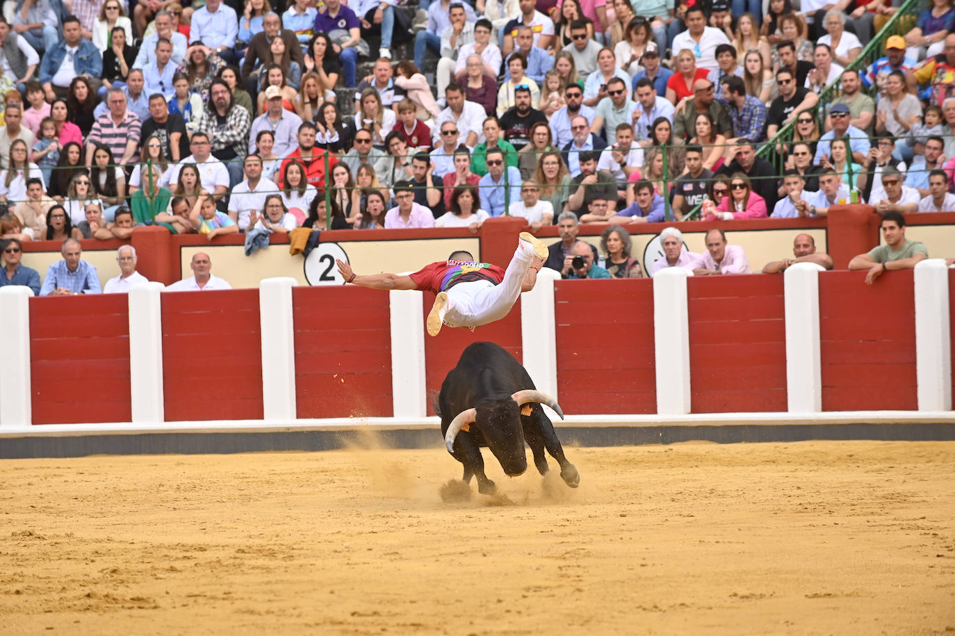 La mejores fotos del Concurso cortes quiebros y saltos de Valladolid (I)