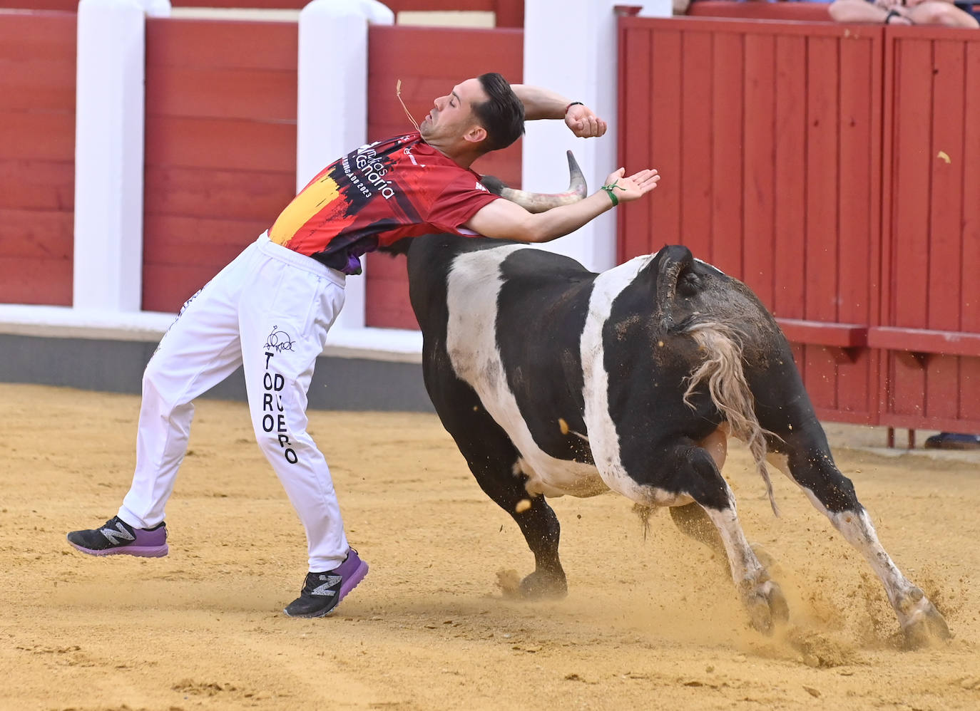 La mejores fotografías del Concurso cortes quiebros y saltos de Valladolid (II)