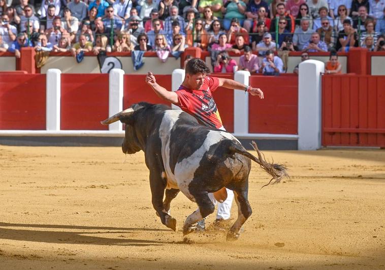 La mejores imágenes del concurso Cortes quiebros y saltos de Valladolid (III)
