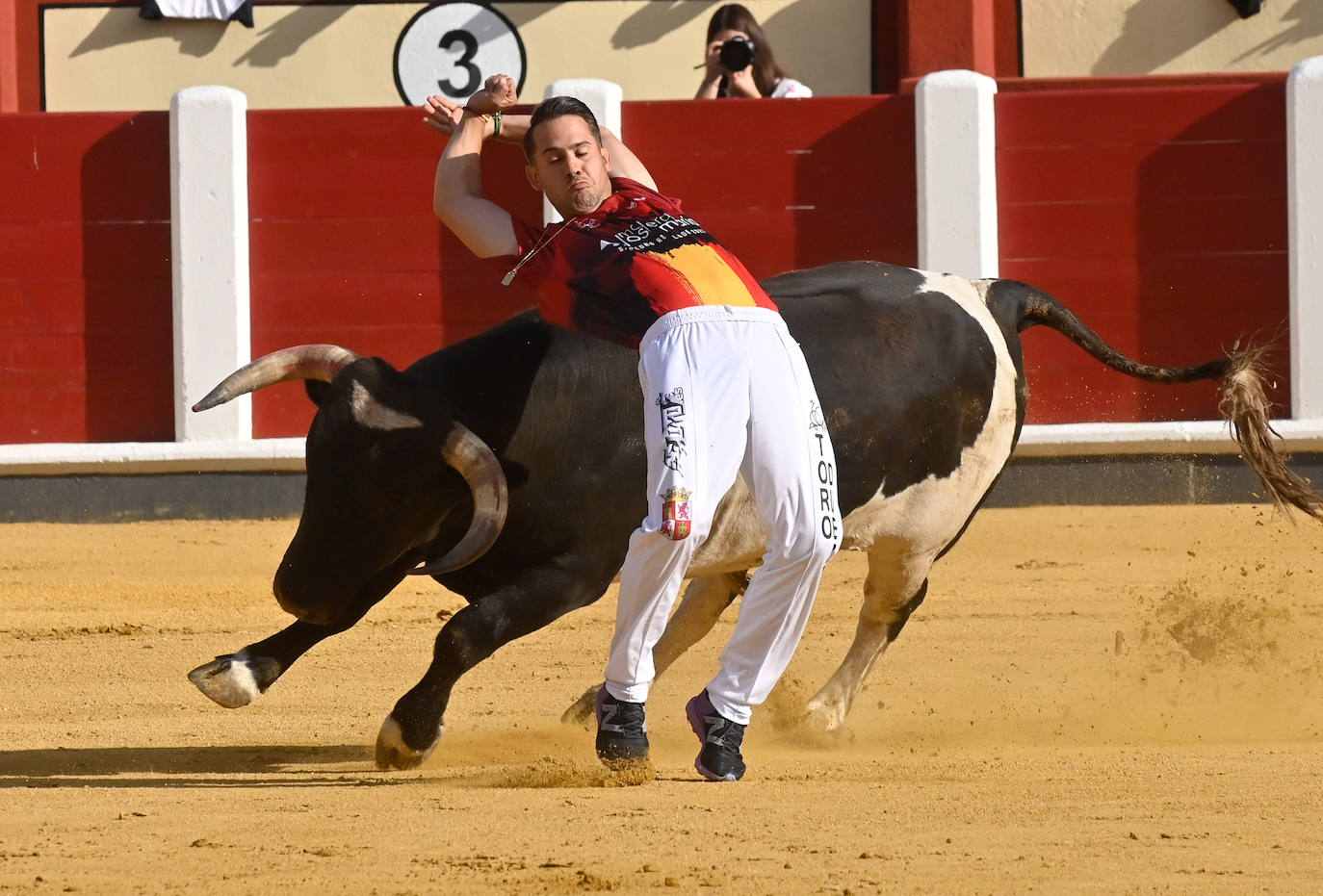 La mejores fotografías del Concurso cortes quiebros y saltos de Valladolid (II)