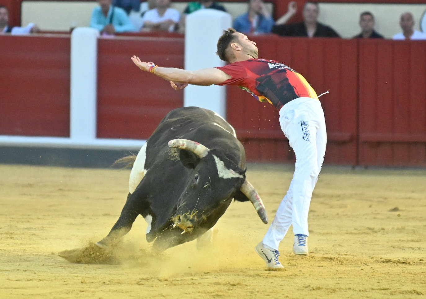 La mejores fotografías del Concurso cortes quiebros y saltos de Valladolid (II)