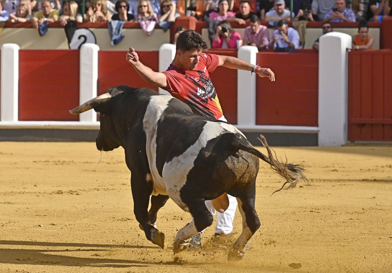 La mejores fotografías del Concurso cortes quiebros y saltos de Valladolid (II)