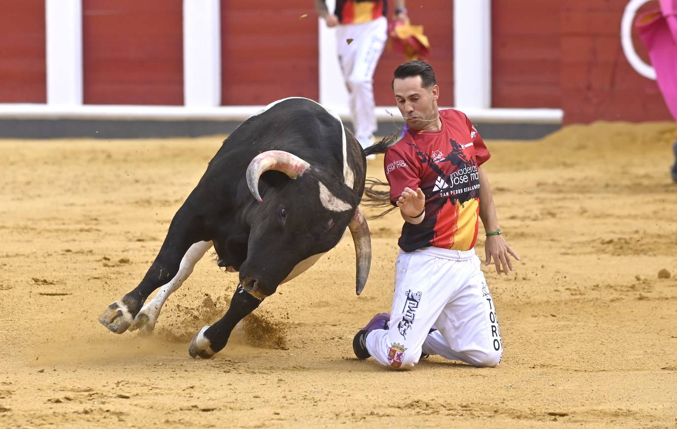 La mejores imágenes del concurso Cortes quiebros y saltos de Valladolid (III)