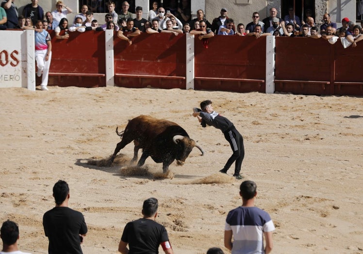 Capea en la plaza del Coso de los Toros de Mayo 2022.