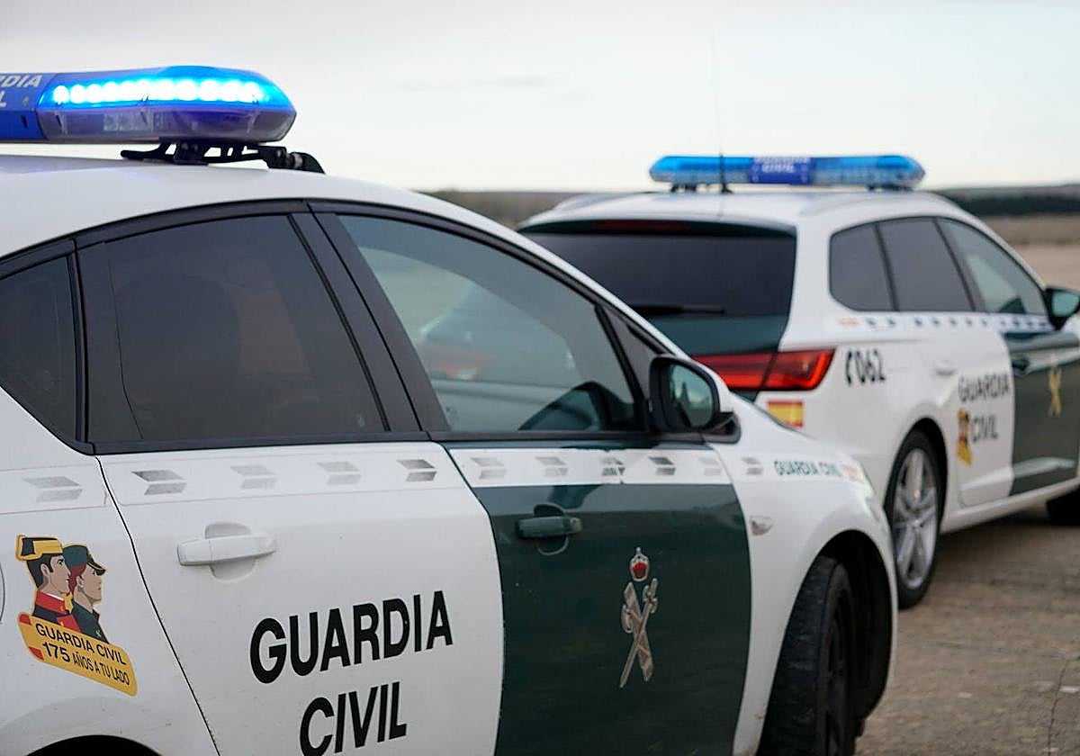 Auxiliada una peregrina italiana que fue mordida por un perro en Zamora