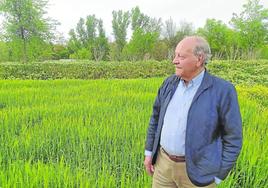 Isaís García Monge posa para la entrevista en una parcela de cereal de Tierra de Campos.