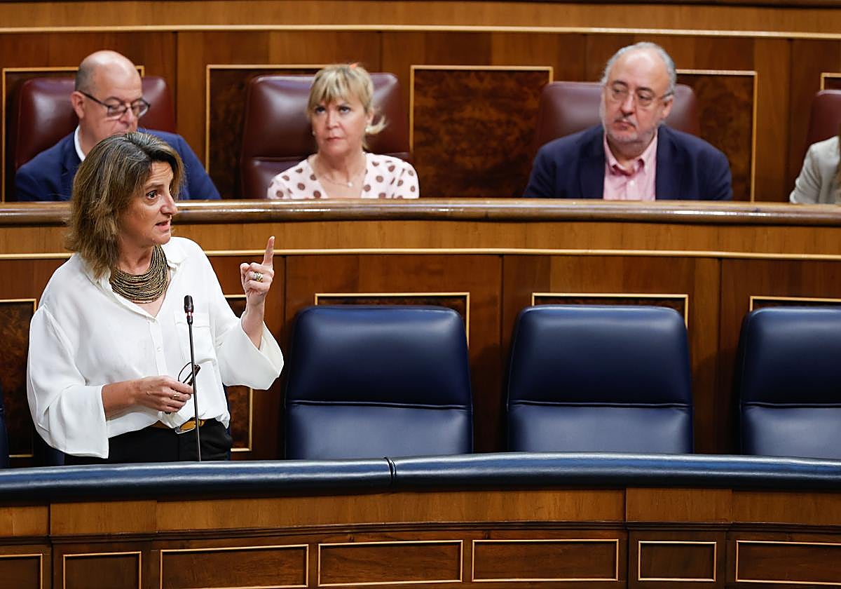 Teresa Ribera, ministra de Transición Ecológica y Reto Demográfico, durante una de sus intervenciones en el Pleno del Congreso este miércoles.