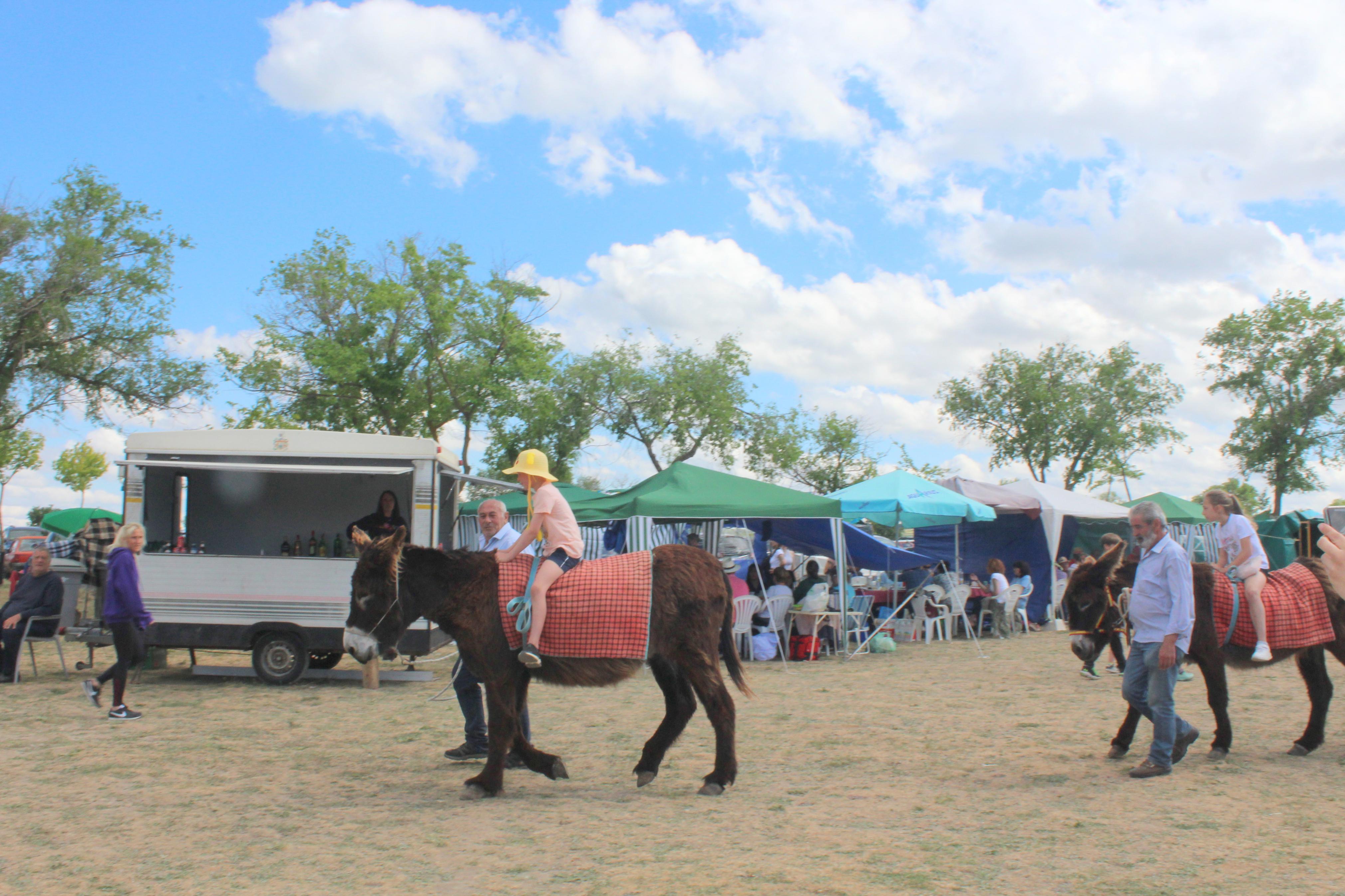 Baltanás celebra la fiesta de San Gregorio