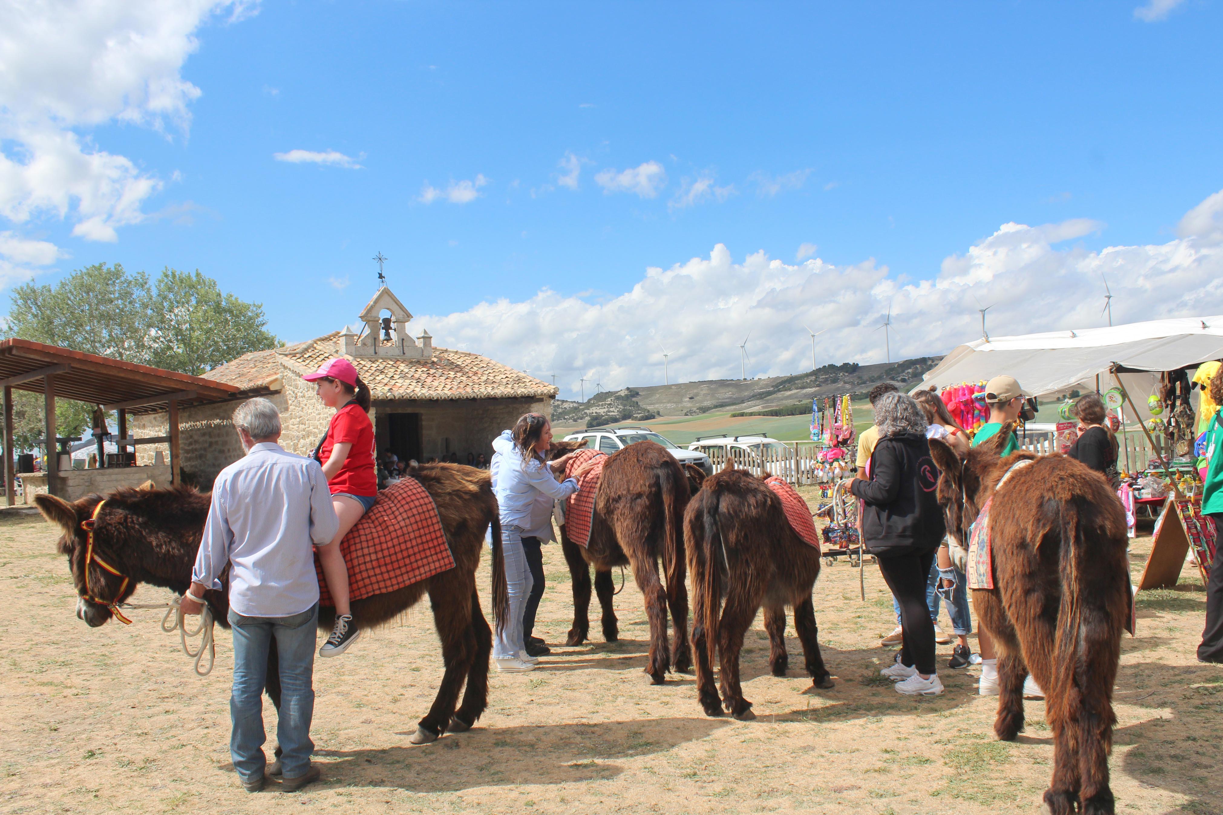Baltanás celebra la fiesta de San Gregorio