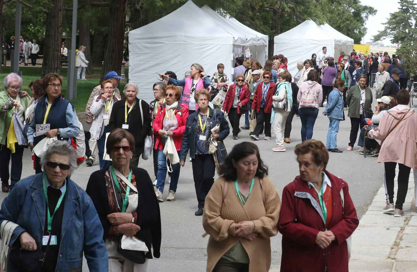 Fiesta de las Aulas Sociales y de Manualidades