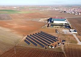 Vista aérea de los módulos solares instalados junto a la Bodega Cuatro Rayas, en La Seca.