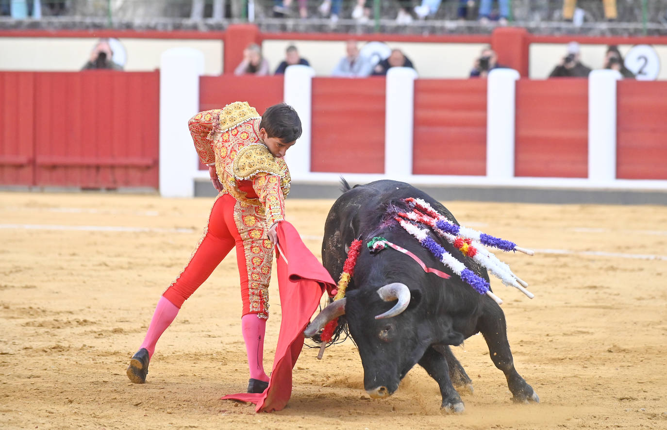 La novillada de San Pedro Regalado, en imágenes