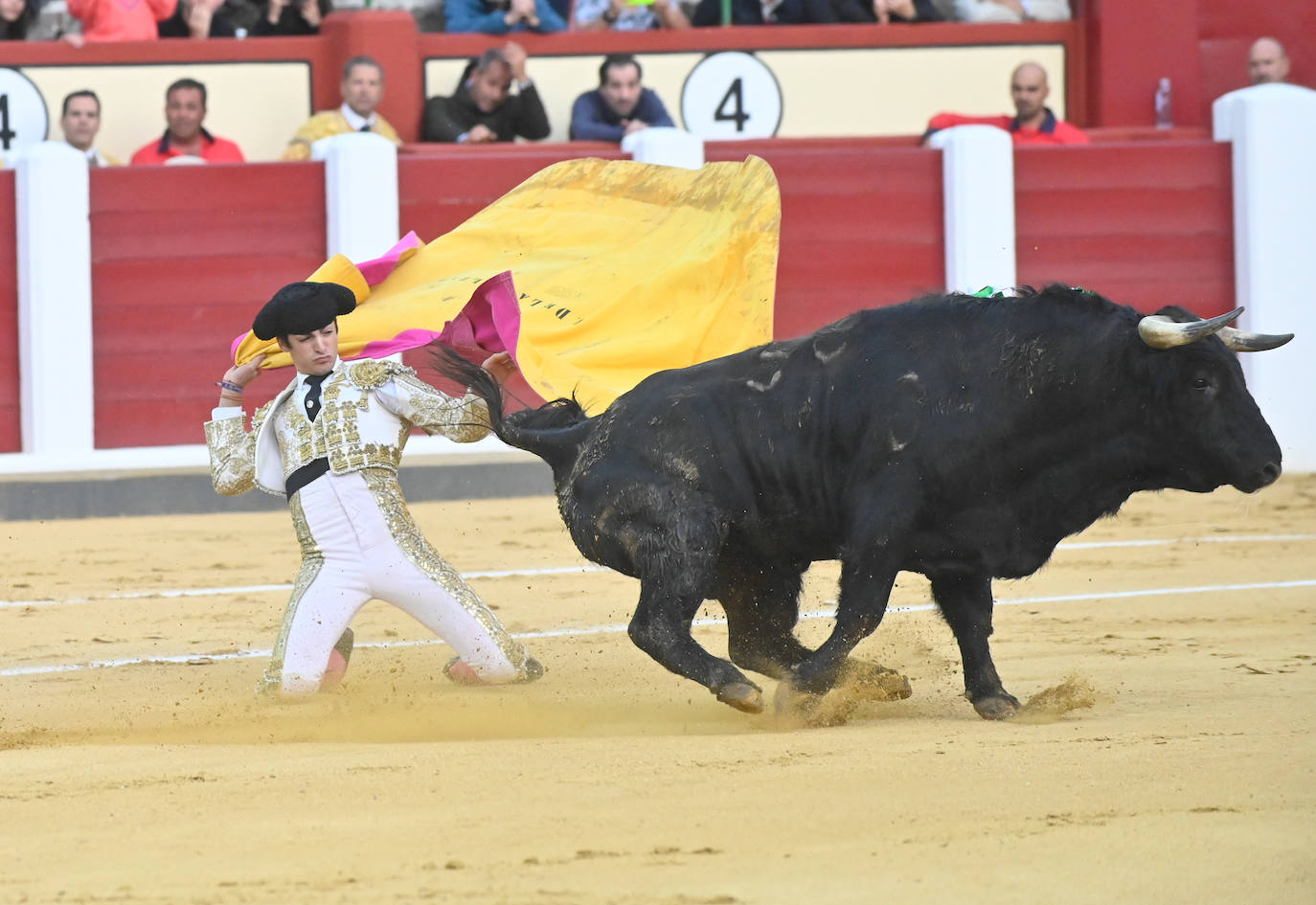 La novillada de San Pedro Regalado, en imágenes