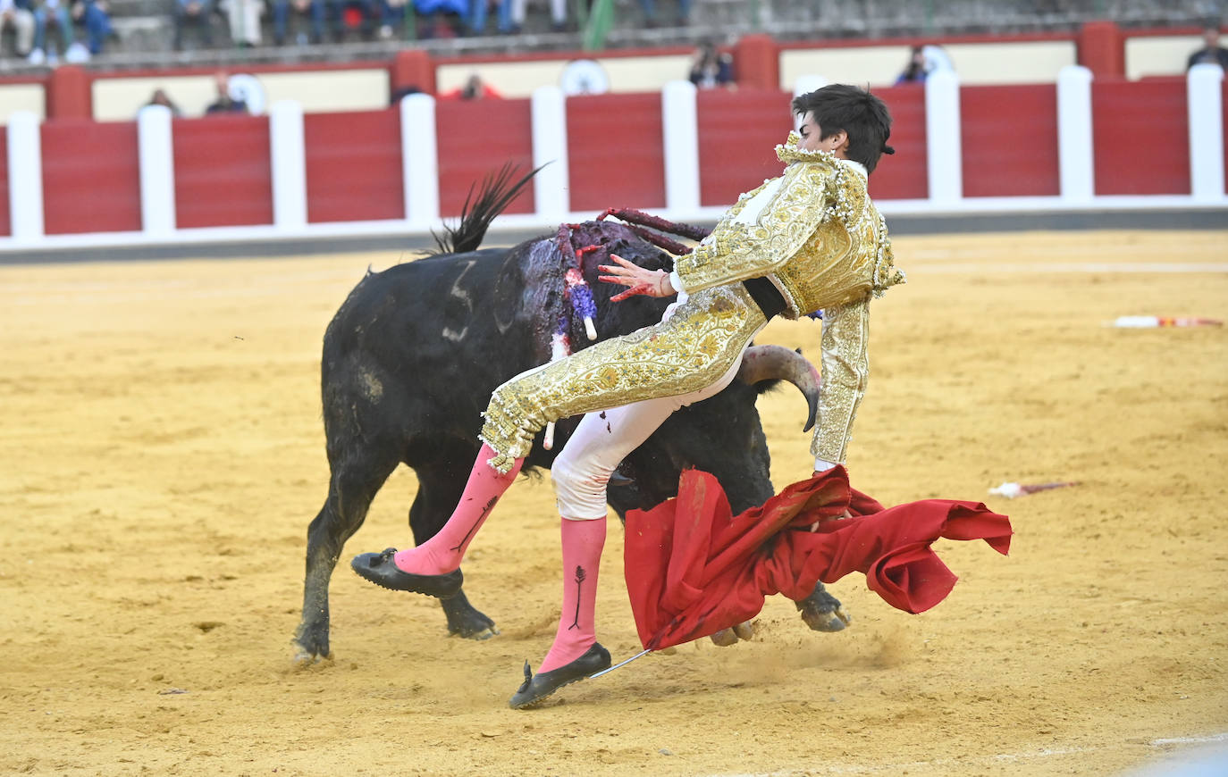 La novillada de San Pedro Regalado, en imágenes