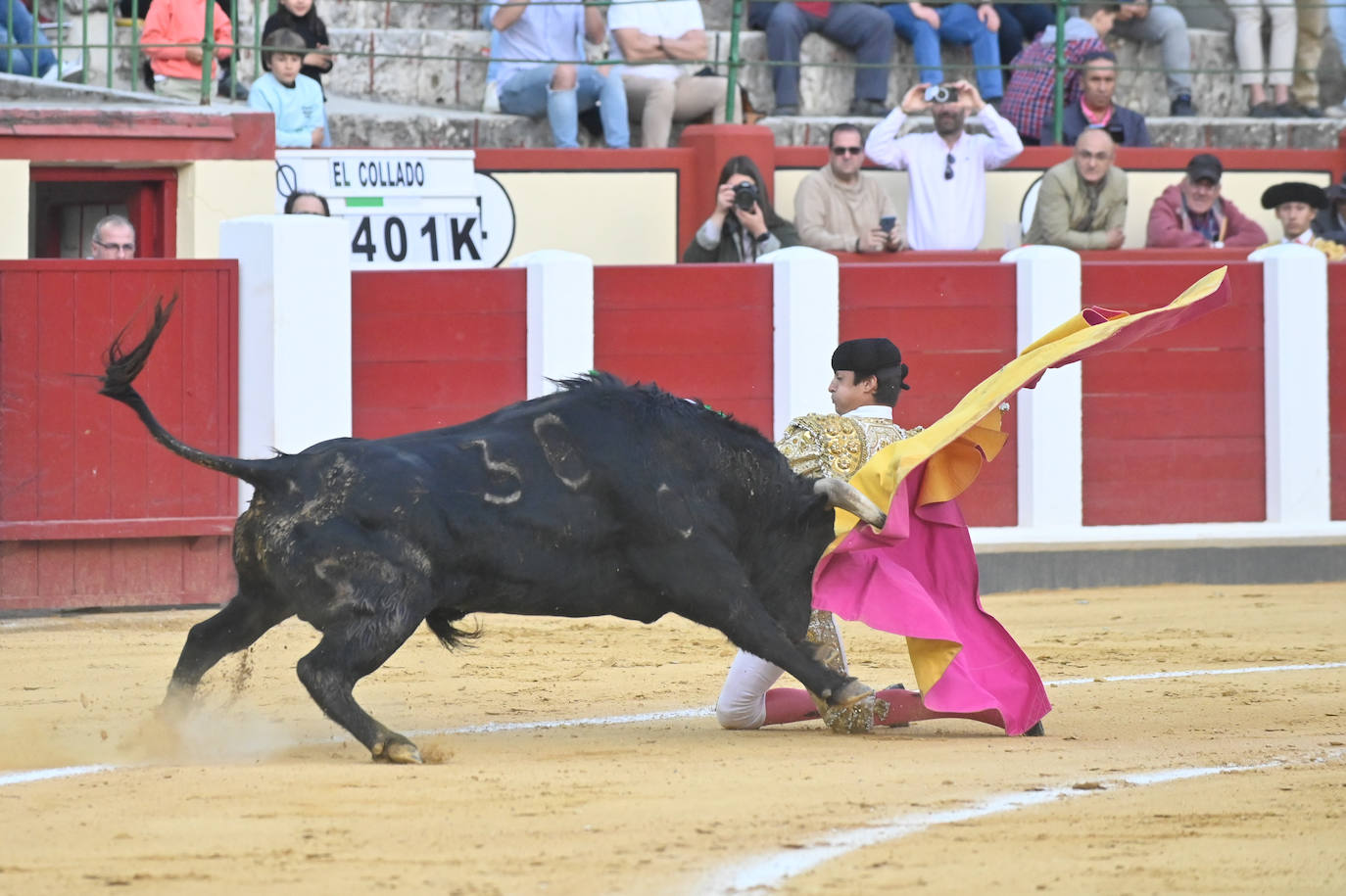 La novillada de San Pedro Regalado, en imágenes