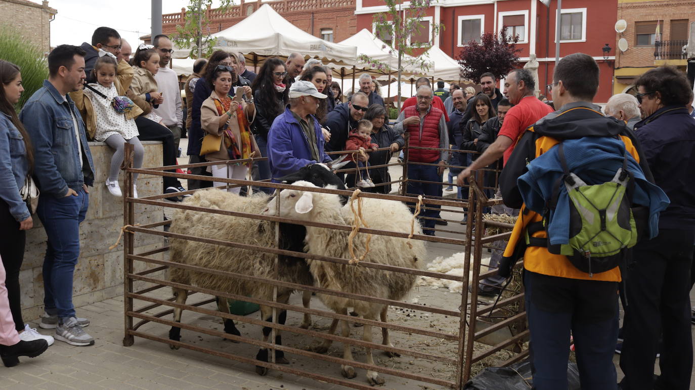 Cisneros revive las tradiciones