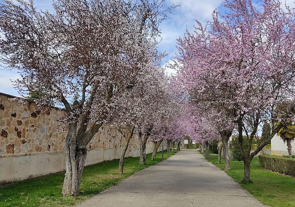 Herrera de Pisuerga: «Buscamos esa empresa que dé establidad laboral»