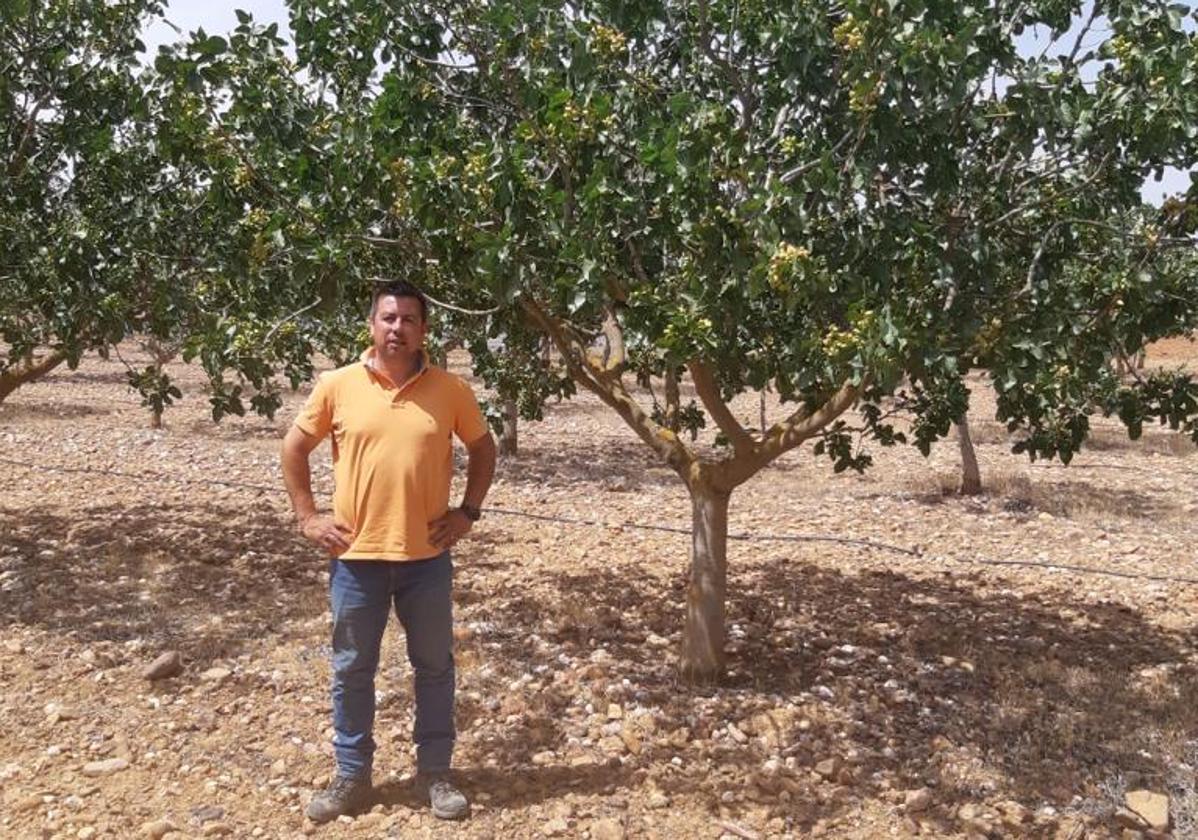 Eduardo García en su plantación de pistachos en Villán de Tordesillas, Valladolid.