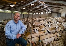 Mariano Paramio, junto al rebaño de ovejas.