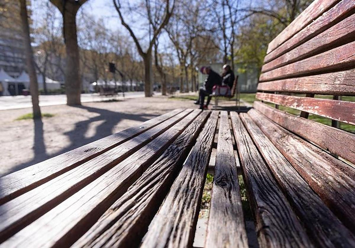 Bancos de la Acera de Recoletos, donde tuvo lugar la presunta agresión.