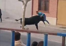 El toro levanta del suelo al mozo.