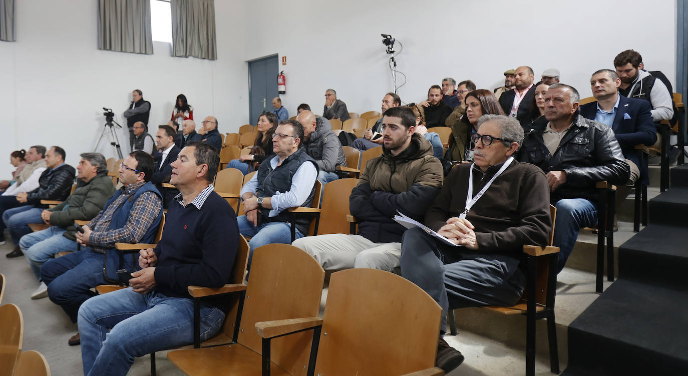 Feria Nacional de Ganado Ovino Selecto de Raza Churra en Palencia