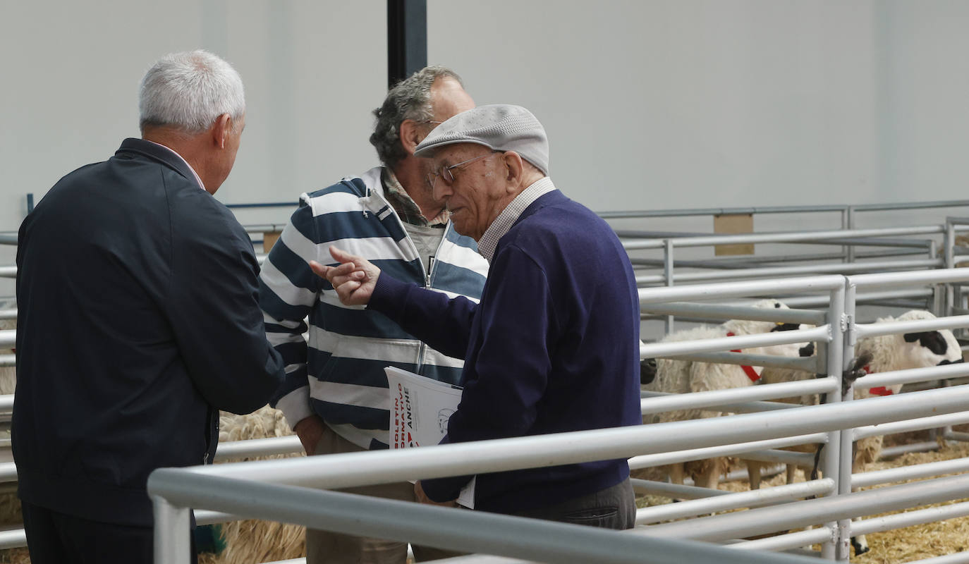 Feria Nacional de Ganado Ovino Selecto de Raza Churra en Palencia