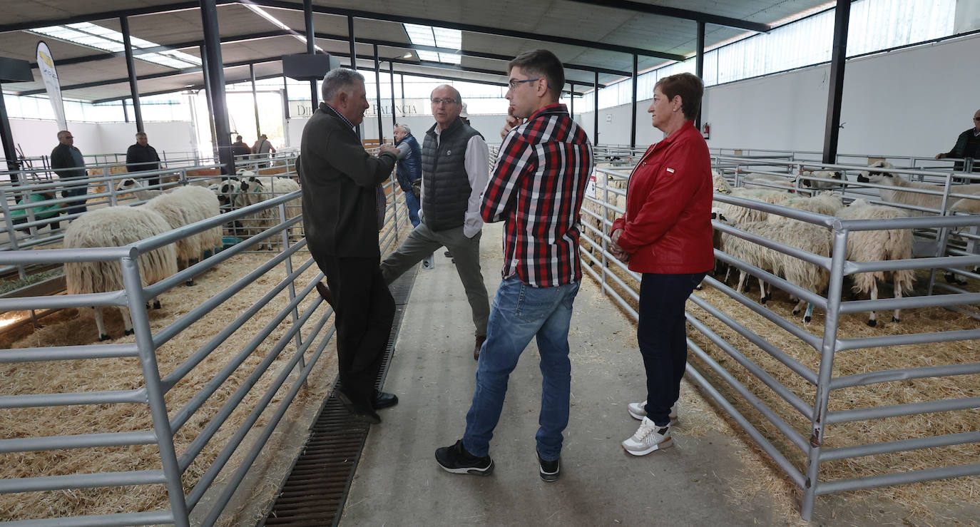 Feria Nacional de Ganado Ovino Selecto de Raza Churra en Palencia