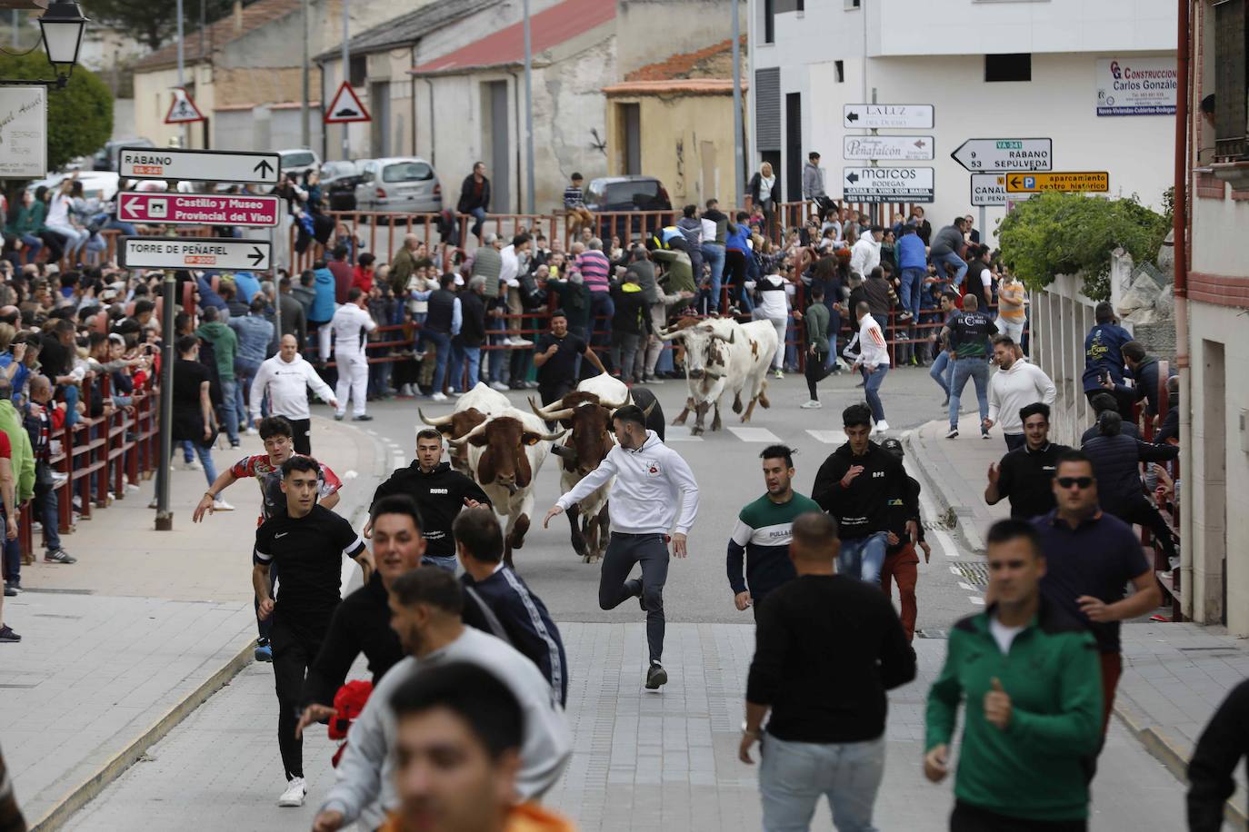 Los Toros de Mayo arrancan con un gran ambiente festivo en Peñafiel