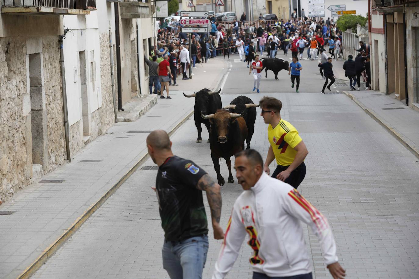 Los Toros de Mayo arrancan con un gran ambiente festivo en Peñafiel