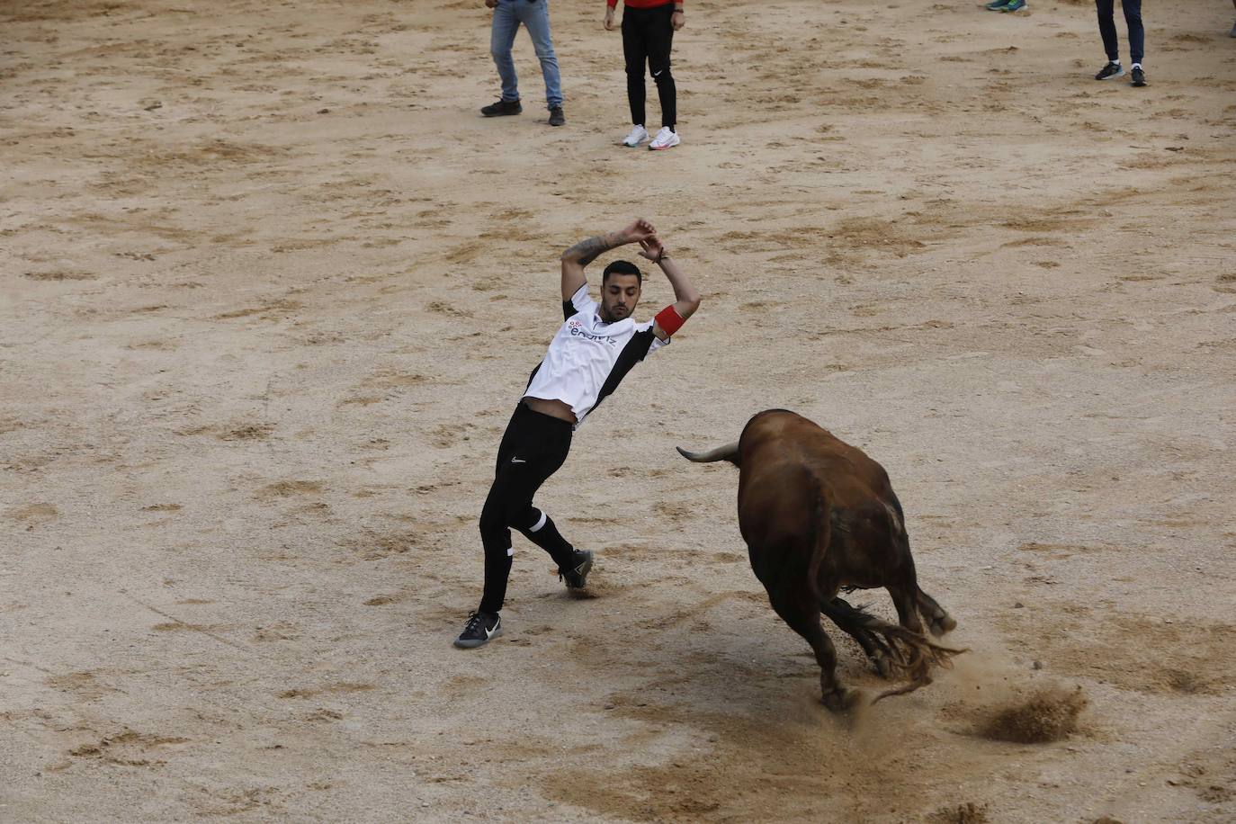 Los Toros de Mayo arrancan con un gran ambiente festivo en Peñafiel