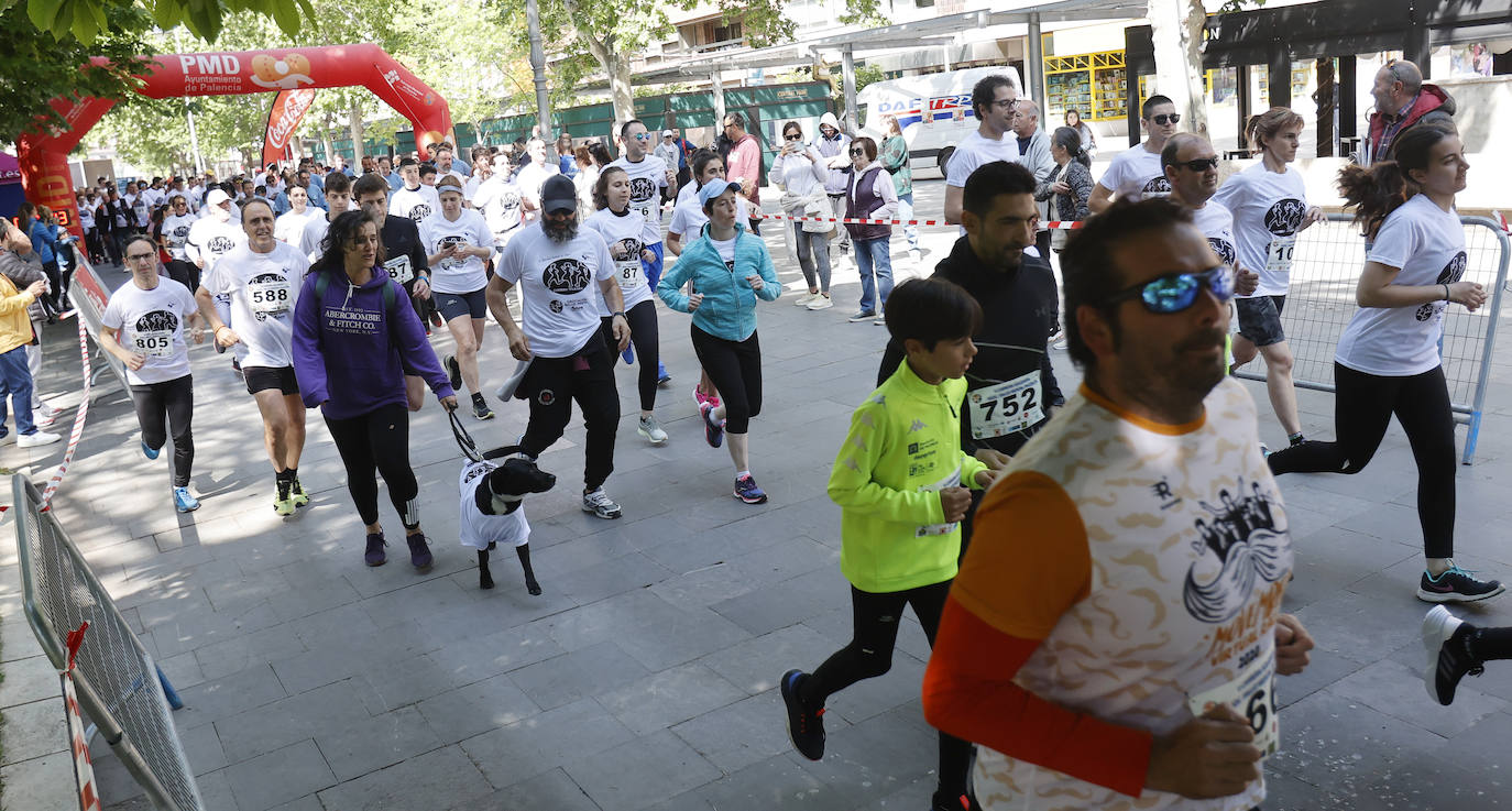 Palencia apoya el trabajo de la asociación Salud Mental