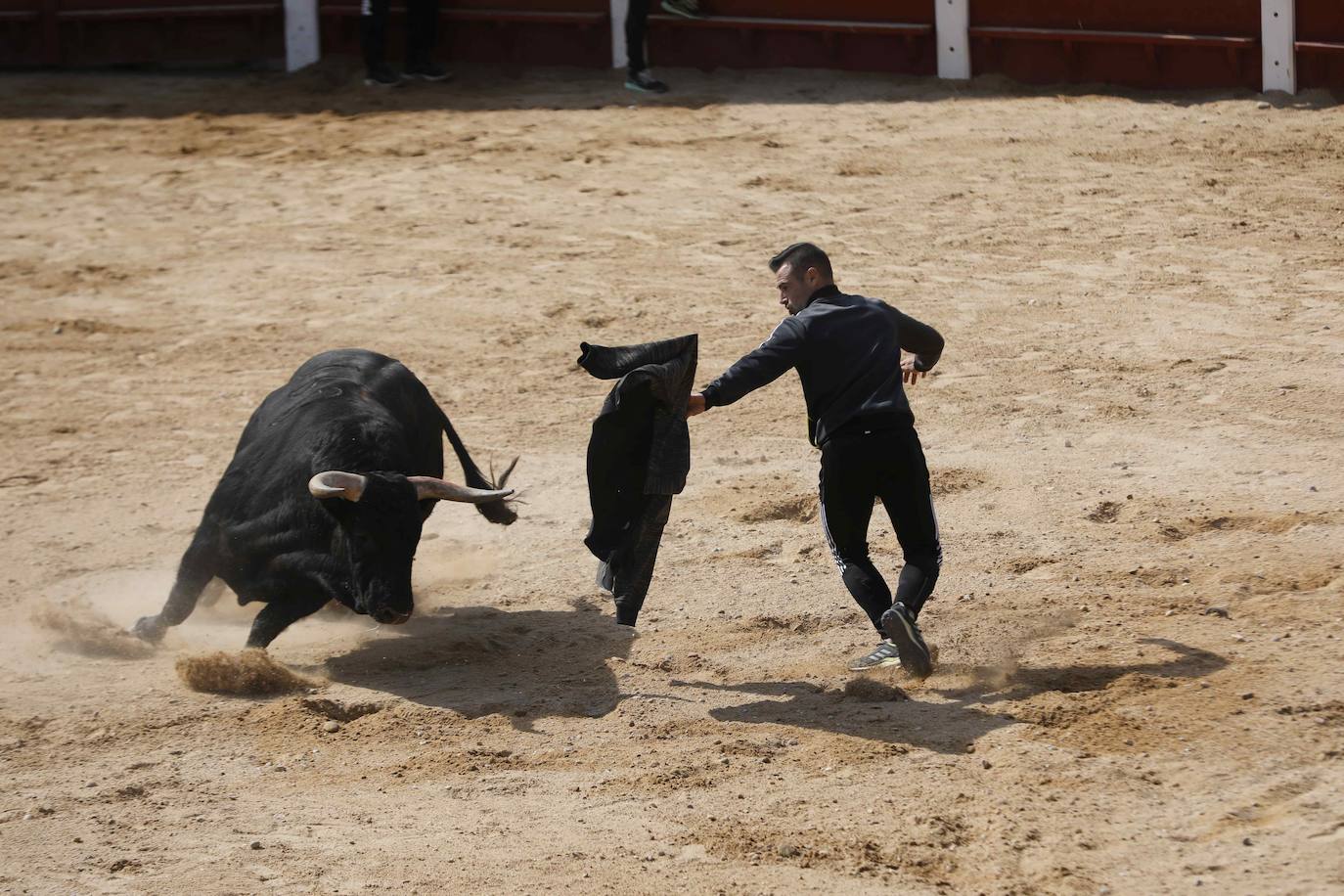 Peñafiel despide el fin de semana con un encierro limpio