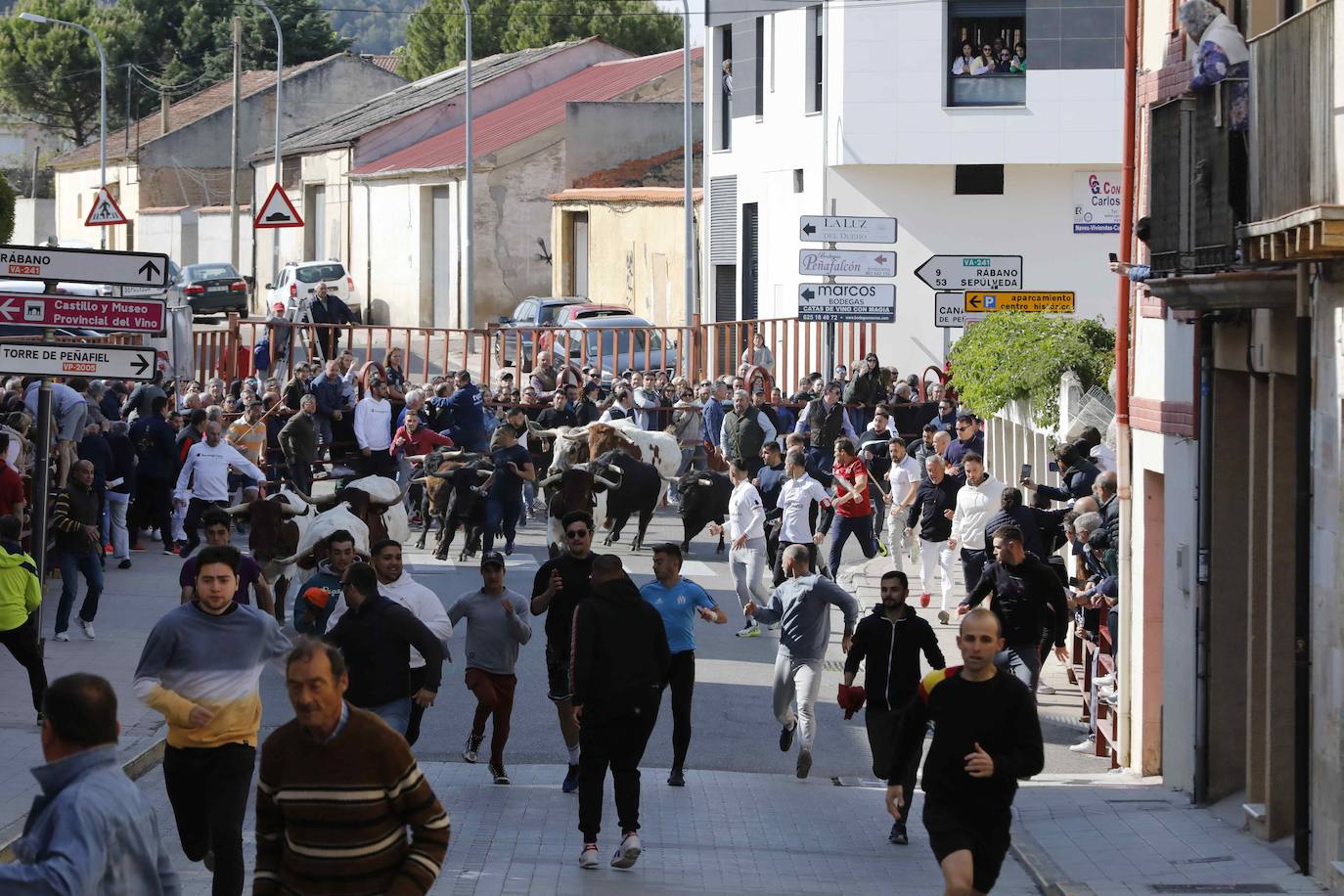 Peñafiel despide el fin de semana con un encierro limpio