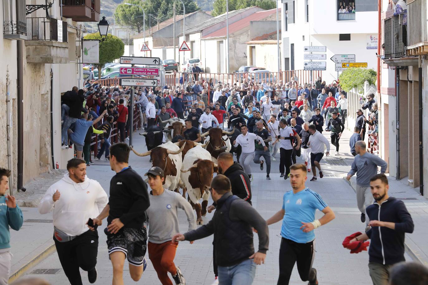 Peñafiel despide el fin de semana con un encierro limpio