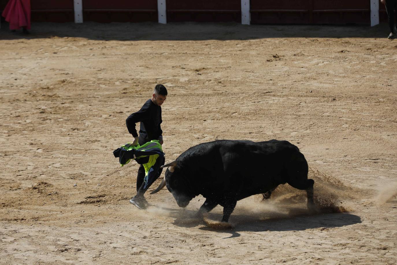 Peñafiel despide el fin de semana con un encierro limpio