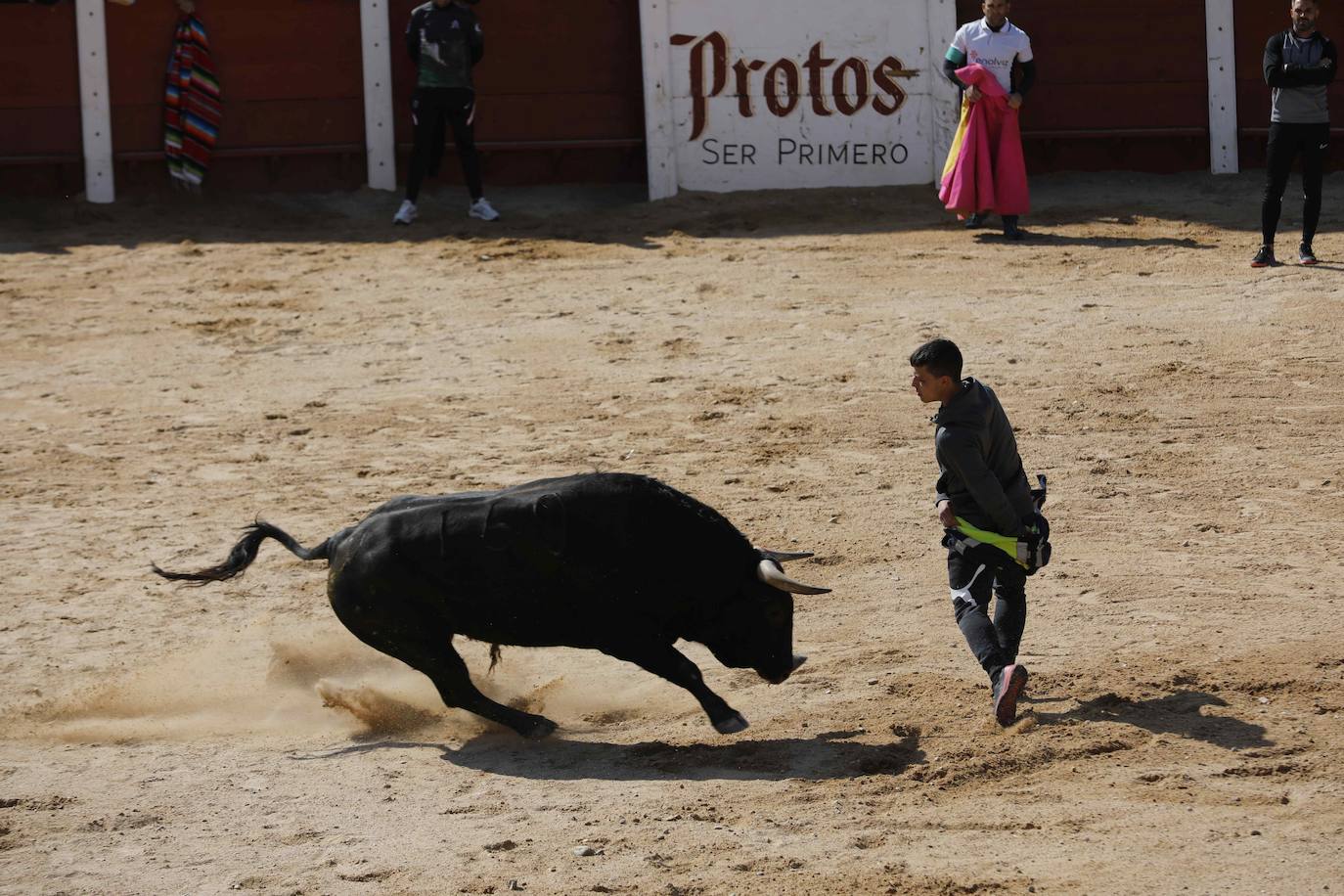 Peñafiel despide el fin de semana con un encierro limpio