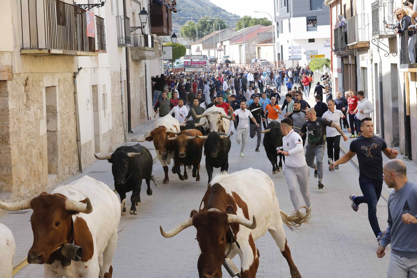 Peñafiel despide el fin de semana con un encierro limpio