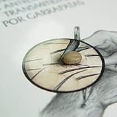 Retirar la garrapata antes de 48 horas evita que transmita enfermedades