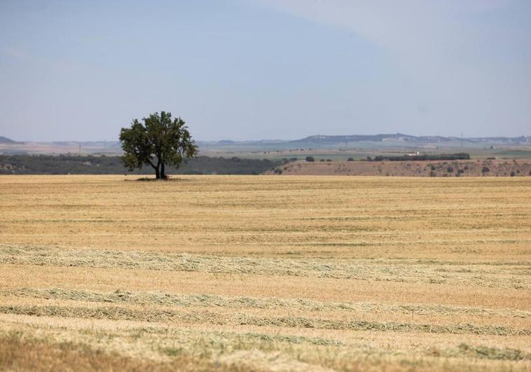 España y Portugal solicitarán a la EU la adopción urgente de medidas frente a la sequía